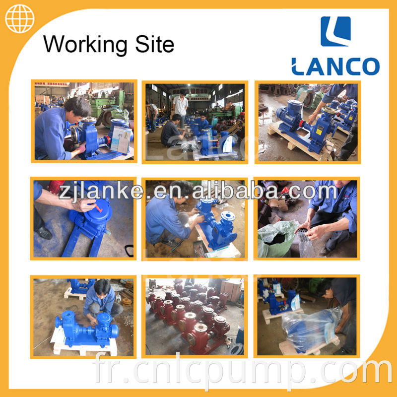 Pompe à eau auto-amorçante de marque Lanco avec moteur Baldor IP55 classe F